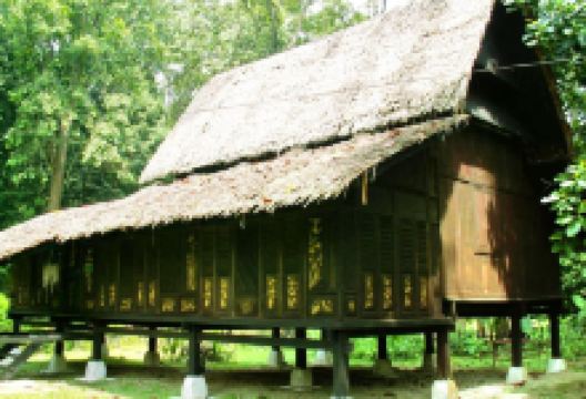 马来西亚森林研究院景点图片