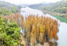 五桂山景点图片
