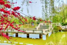 灌南旅游图片-灌南休闲观光1日游