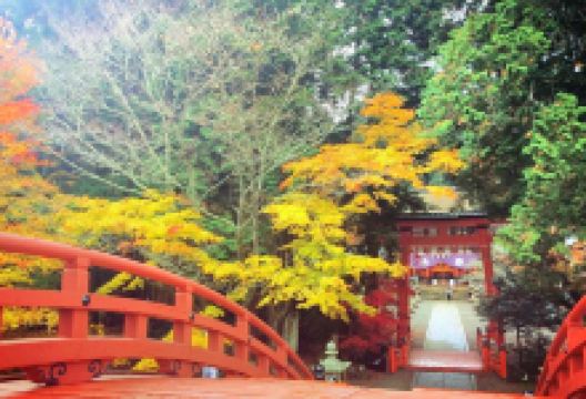 丹生都比卖神社景点图片