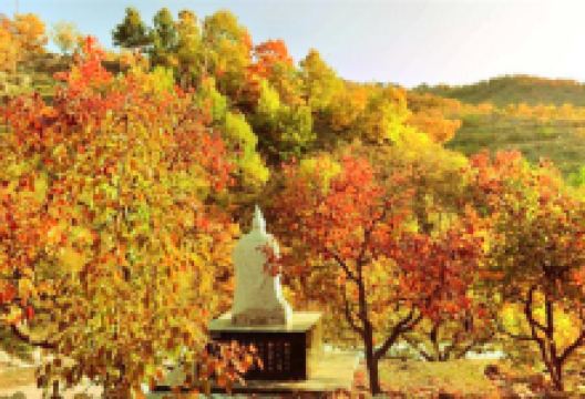 凤凰岭景点图片