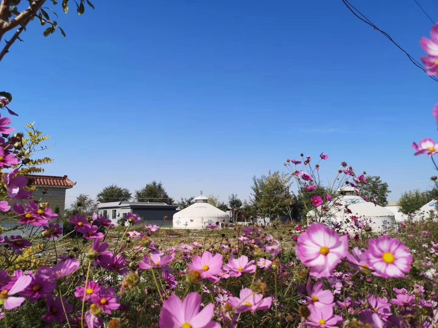 博湖县印象西海风情园