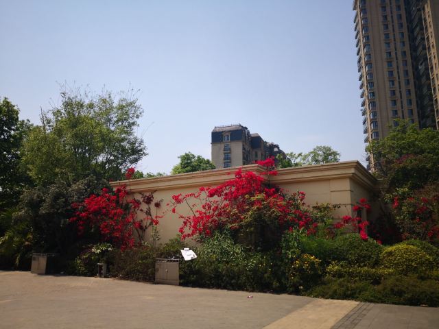万科五龙山公园旅行图片 3