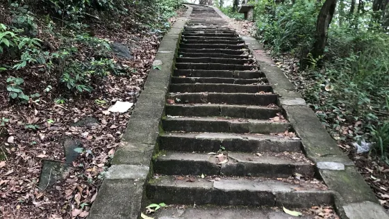 寨子侖