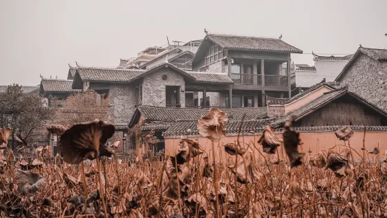 胡家塘