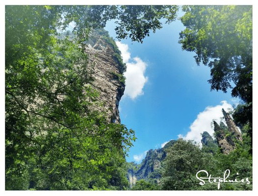 张家界小张告诉你去张家界旅游怎样防骗？张家界旅游注意事项