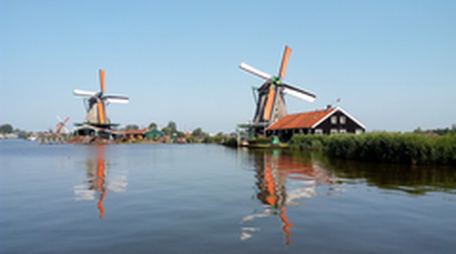 荷兰游记图片] 虽然郁金香开过