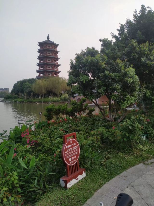 华阳湖国家湿地公园旅行图片 6