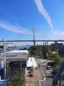 天保山摩天轮-大阪-雪梨_123