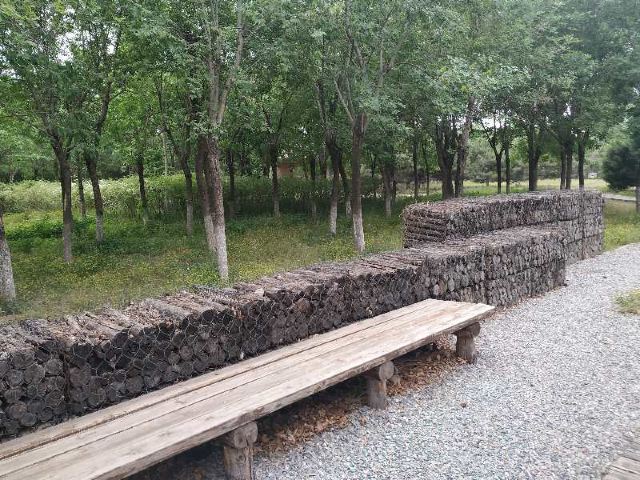 中关村公园旅行图片 4