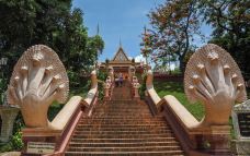 塔山-金边-q****ky