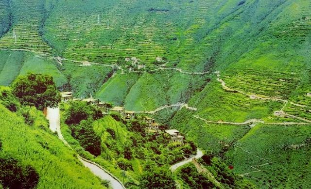 松岗镇碉楼旅行图片 4