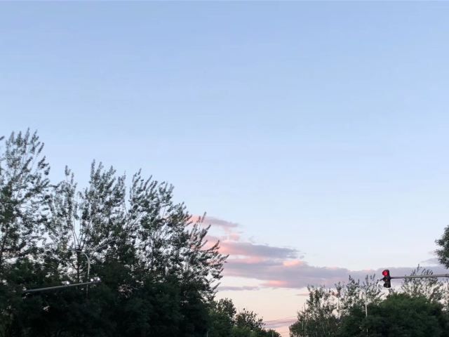 中关村公园旅行图片 4