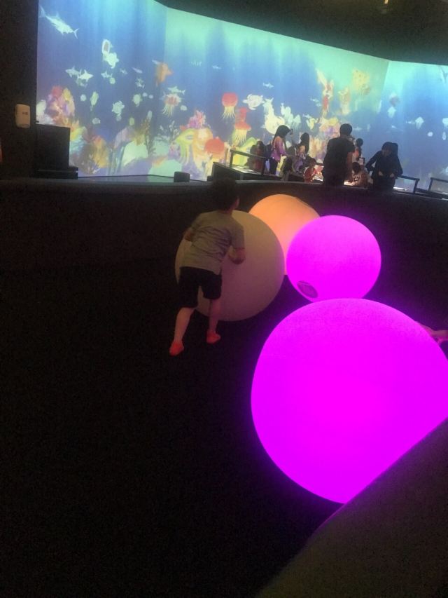 ArtScience Museum