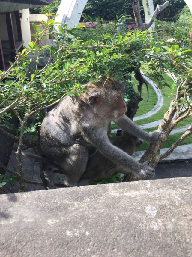 울루와뚜 절벽사원