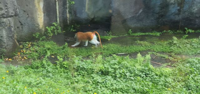 Taipei Zoo