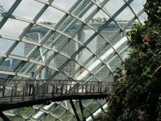 花穹-新加坡-探索大自然