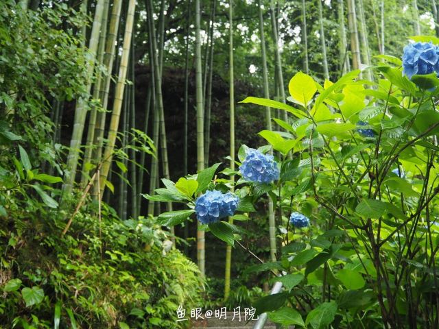 Meigetsu-in