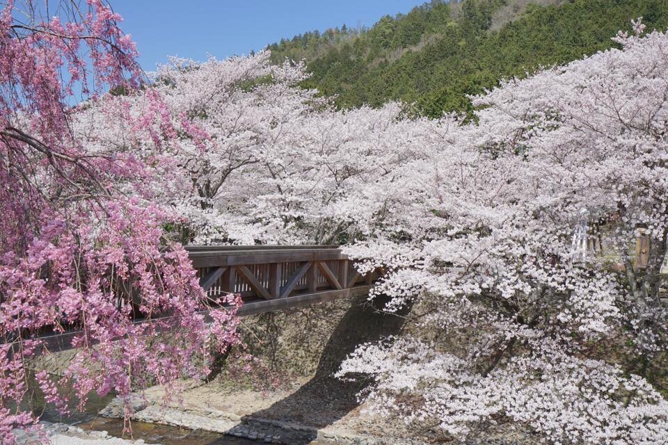 【京都·龟冈·七谷川】