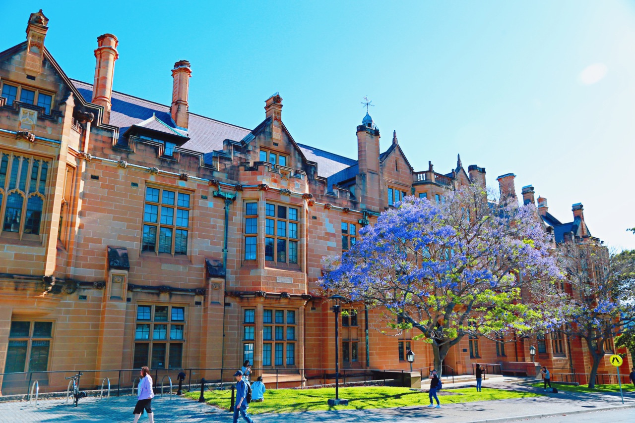 就在这个温柔浪漫的季节去悉尼大学和蓝花楹来一场浪漫之约吧