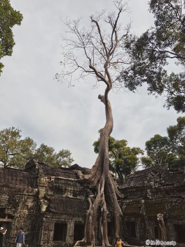 Ta Prohm