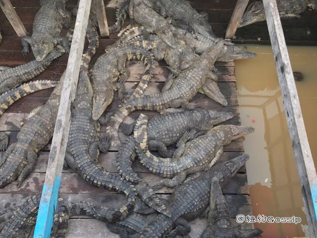 Tonle Sap Lake