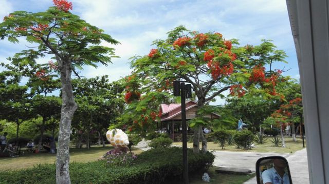West Island