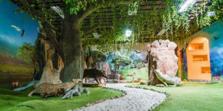 大別山國家地質公園博物館