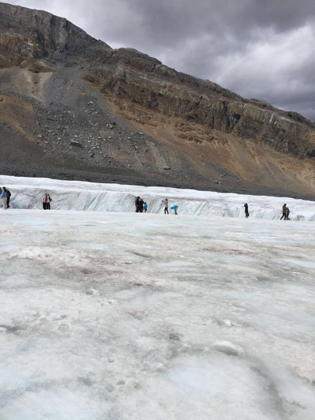Columbia Icefield