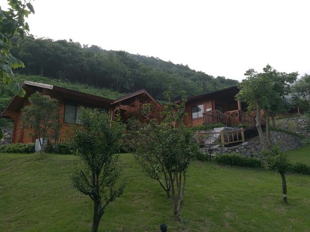 츠시 달봉산 온천