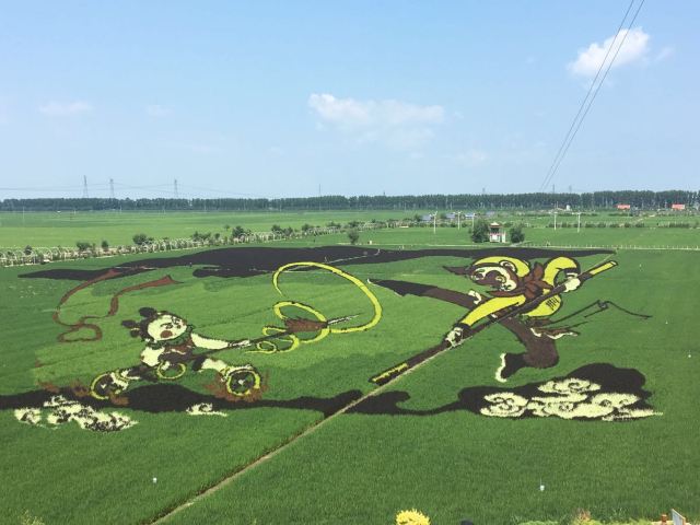 稻夢空間