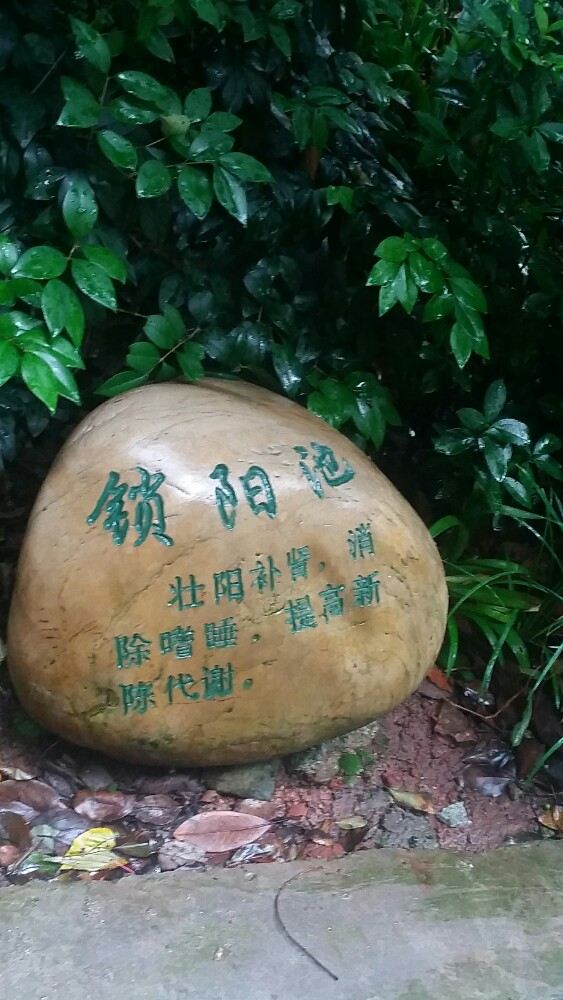 Emei Mountain Guanling Forest Hot Spring