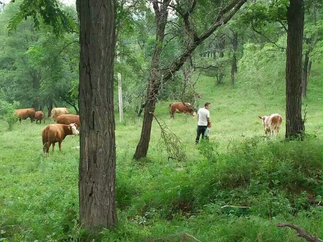 七星山旅遊風景區