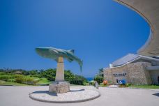 冲绳美丽海水族馆-本部町-doris圈圈