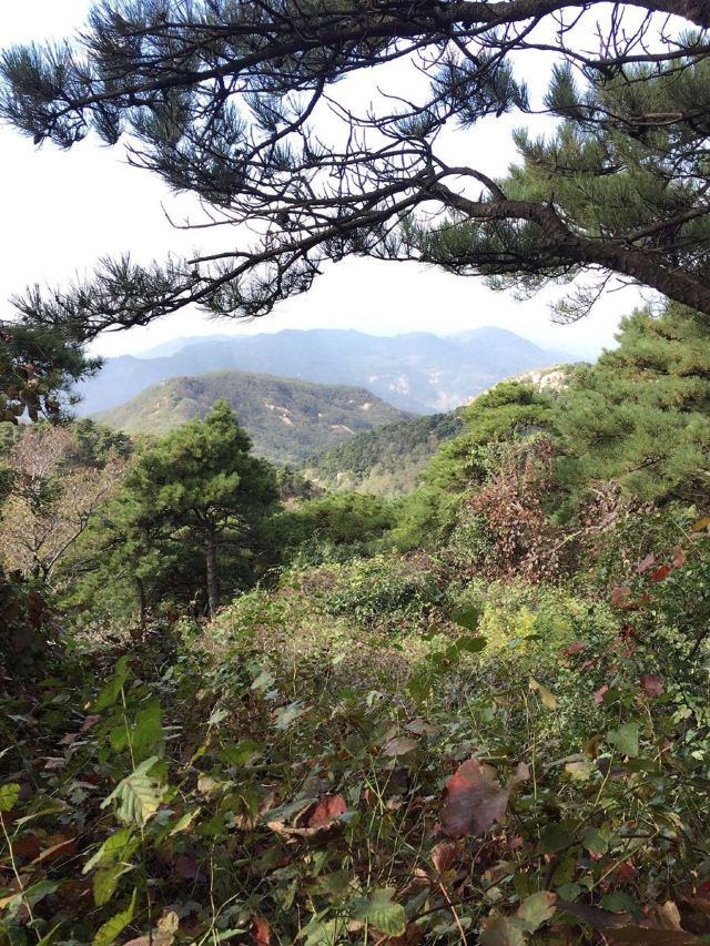 노산국가삼림공원