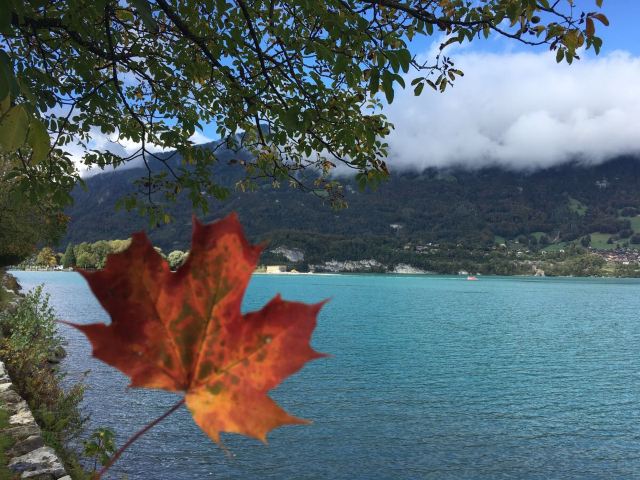 Lake Thun