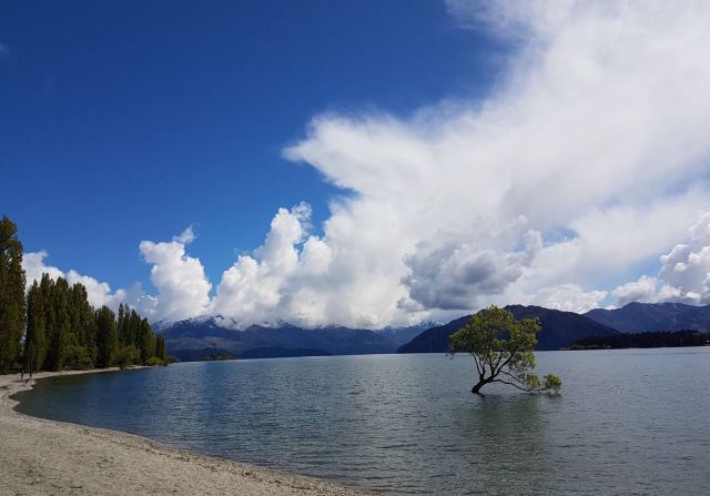 Lake Wanaka