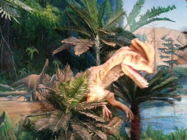 Tianjin Natural History Museum