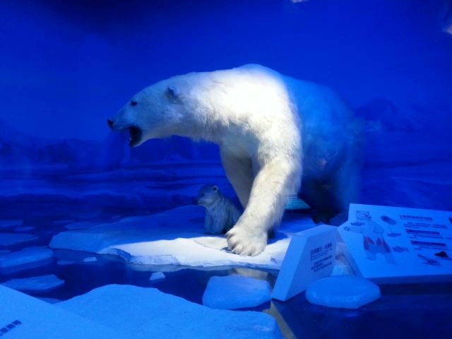 Tianjin Natural History Museum