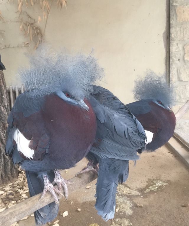 Beijing Zoo