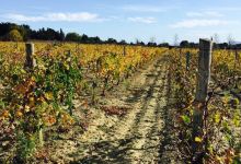 O'Vineyards Table d'Hote美食图片
