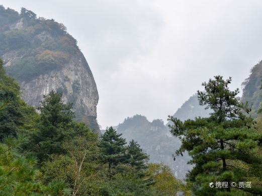 朱雀国家森林公园