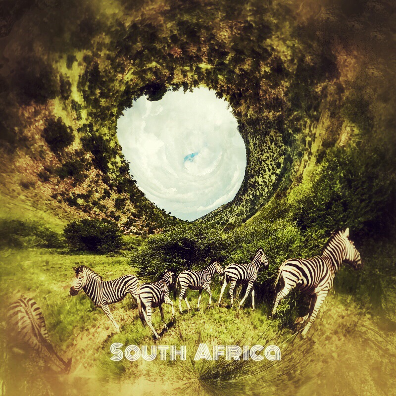 南非的奇幻动物城
