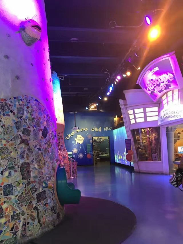 Miami Children's Museum