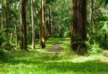 丹顿农山脉国家公园景点图片