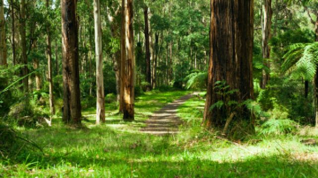丹頓農山脈國家公園