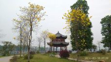 剑英公园-梅州-懟懟