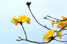 剑英公园-梅州-懟懟