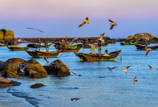 2人起私家团三娘湾钦州老街园博园一日活动钦州南宁上门接送【所选城市市区免费上门接送，方便快捷，省时省力（时间可微调）】