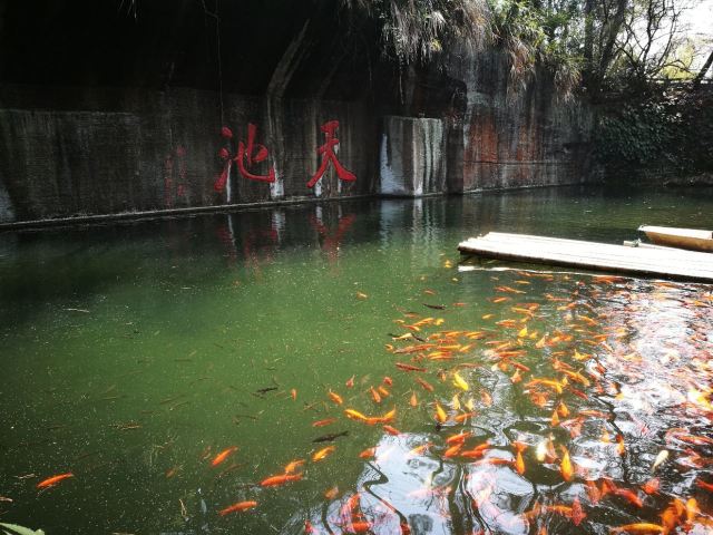 千島湖東南湖區景區